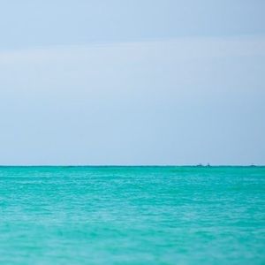 Meet your Posher, Gwen